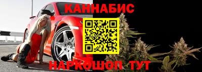 шишки Лесосибирск