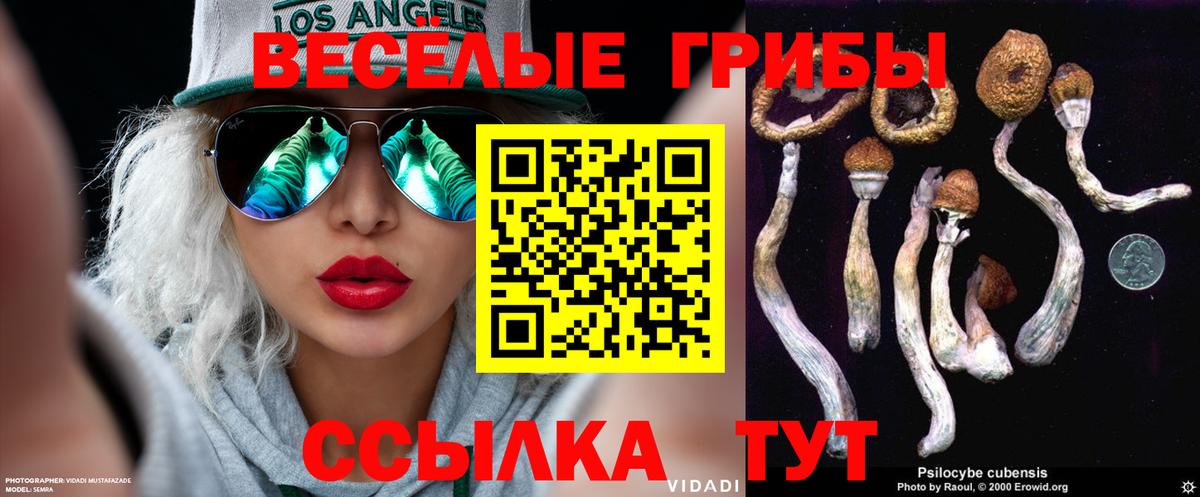 Галлюциногенные грибы прущие грибы Верхняя Салда
